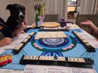 MahJong Party in Longwood
